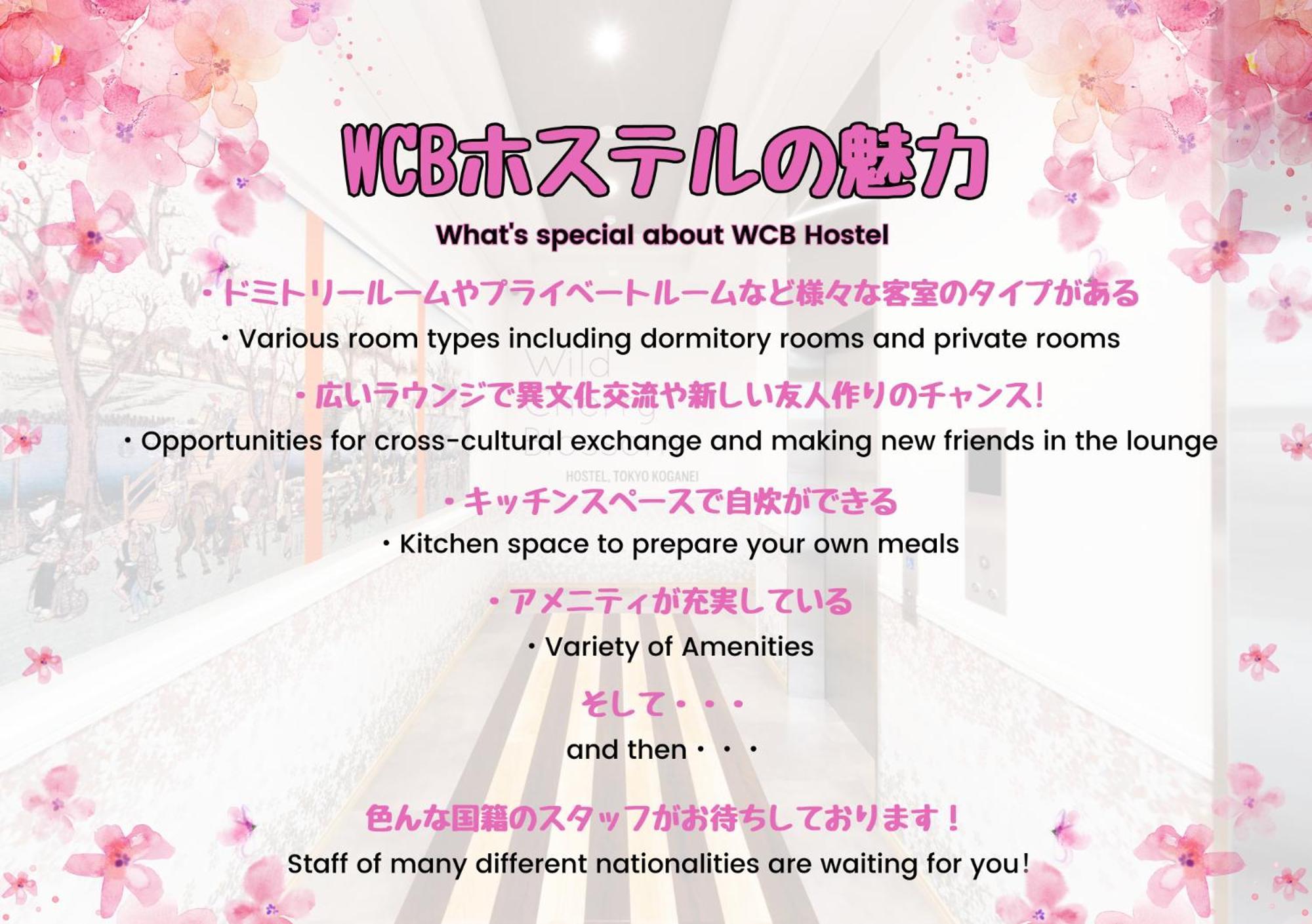Wild Cherry Blossom-Hostel,Tokyo Koganei- 外观 照片